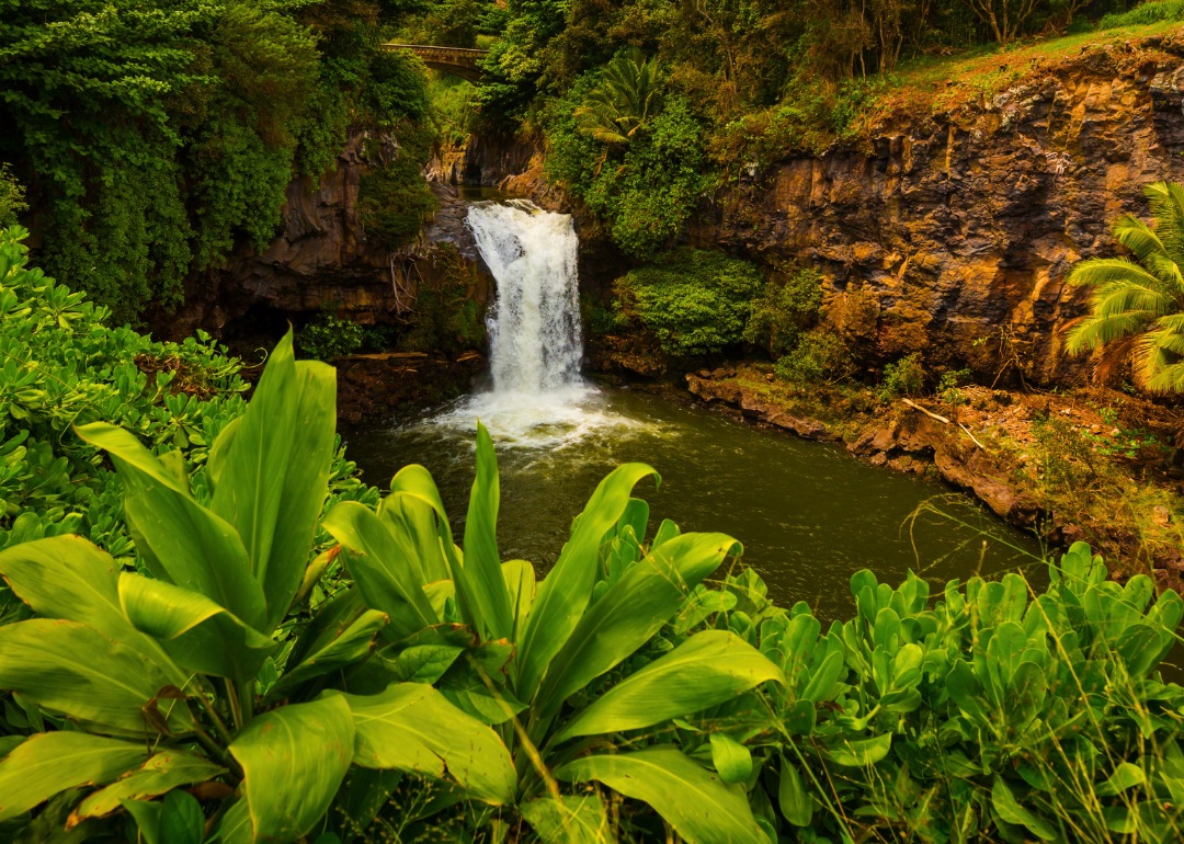 Hawaiian coastline