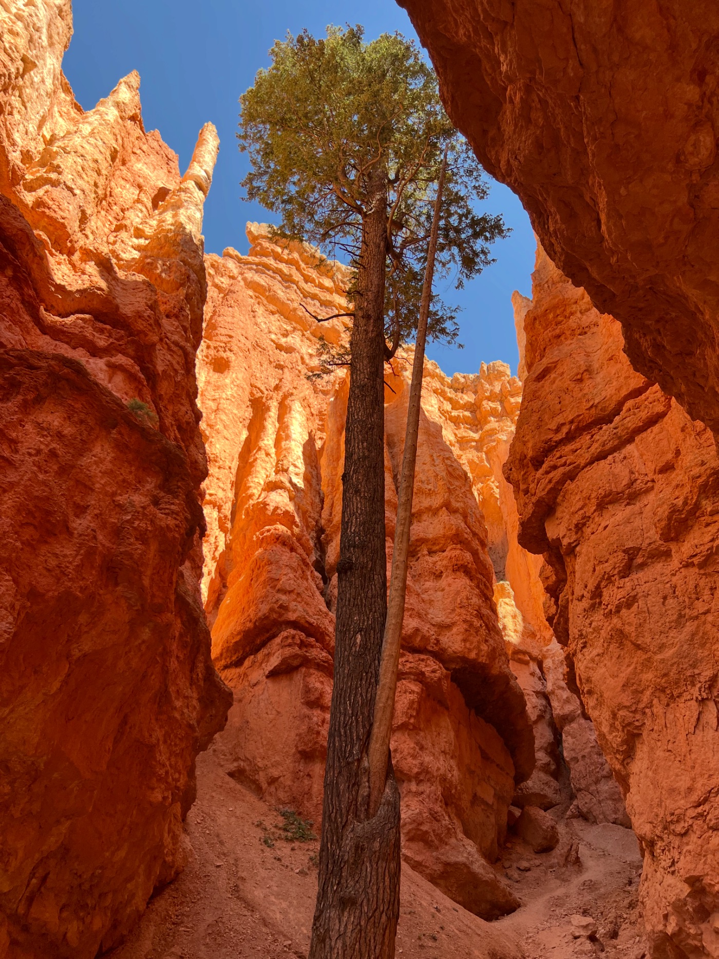 Natural stone arch